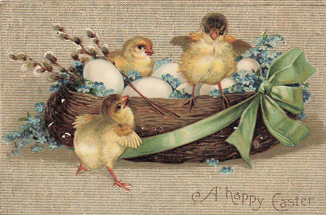 c1910 Lot of 6 Chicks Eggs Germany Easter P310