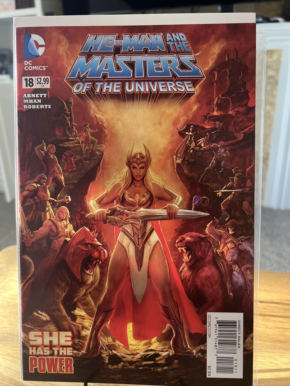HE-MAN & THE MASTERS OF THE UNIVERSE #18 She-Ra  NM Copy 1st App & Cover DC 2014