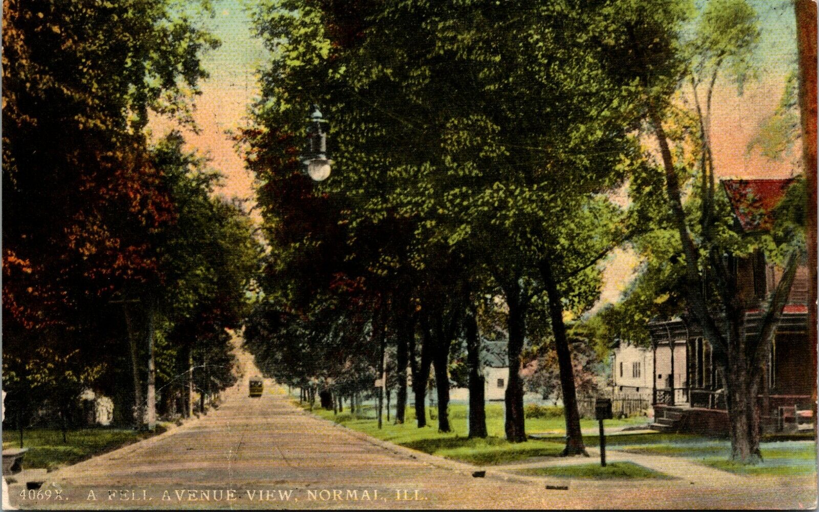 PPC Postcard IL Illinois Norman A Fell Avenue Residential Street View