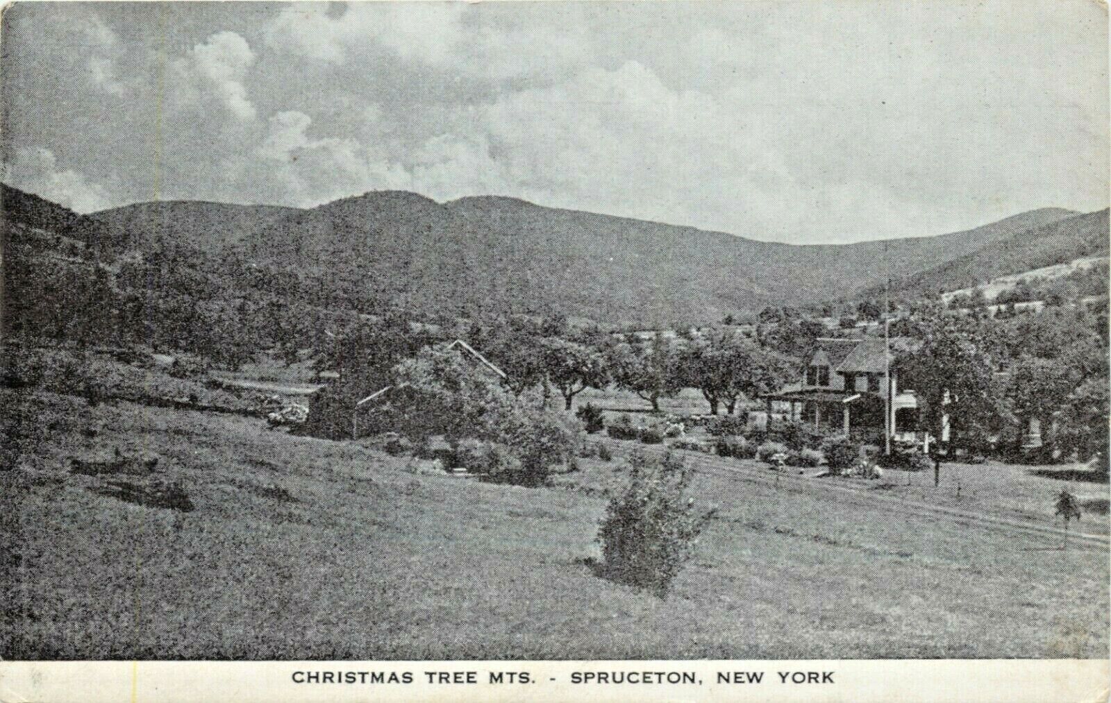 A View At Spruceton, New York NY 1944