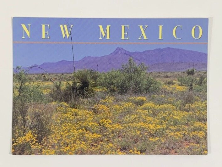 Springtime in the Southern New Mexico Desert Postcard Unposted