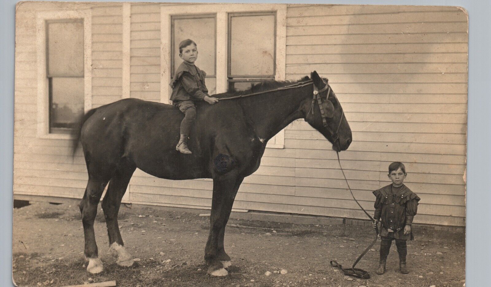 LITTLE BOY TOWING A HORSE real photo postcard rppc candid portrait brothers