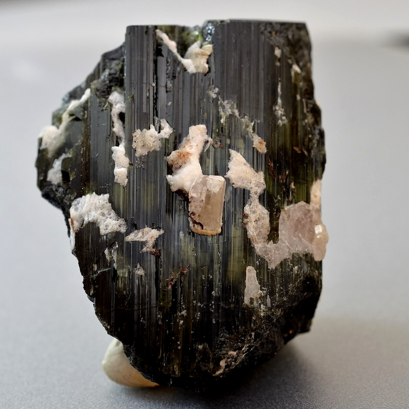 395Ct Schrol Black Tourmaline Crystal Specimen with Apatite from Skardu Pakistan
