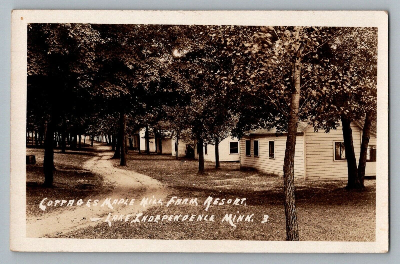 Maple Plain Minnesota Cottages Maple Hill Farm Real Photo RPPC Postcard 1907-29