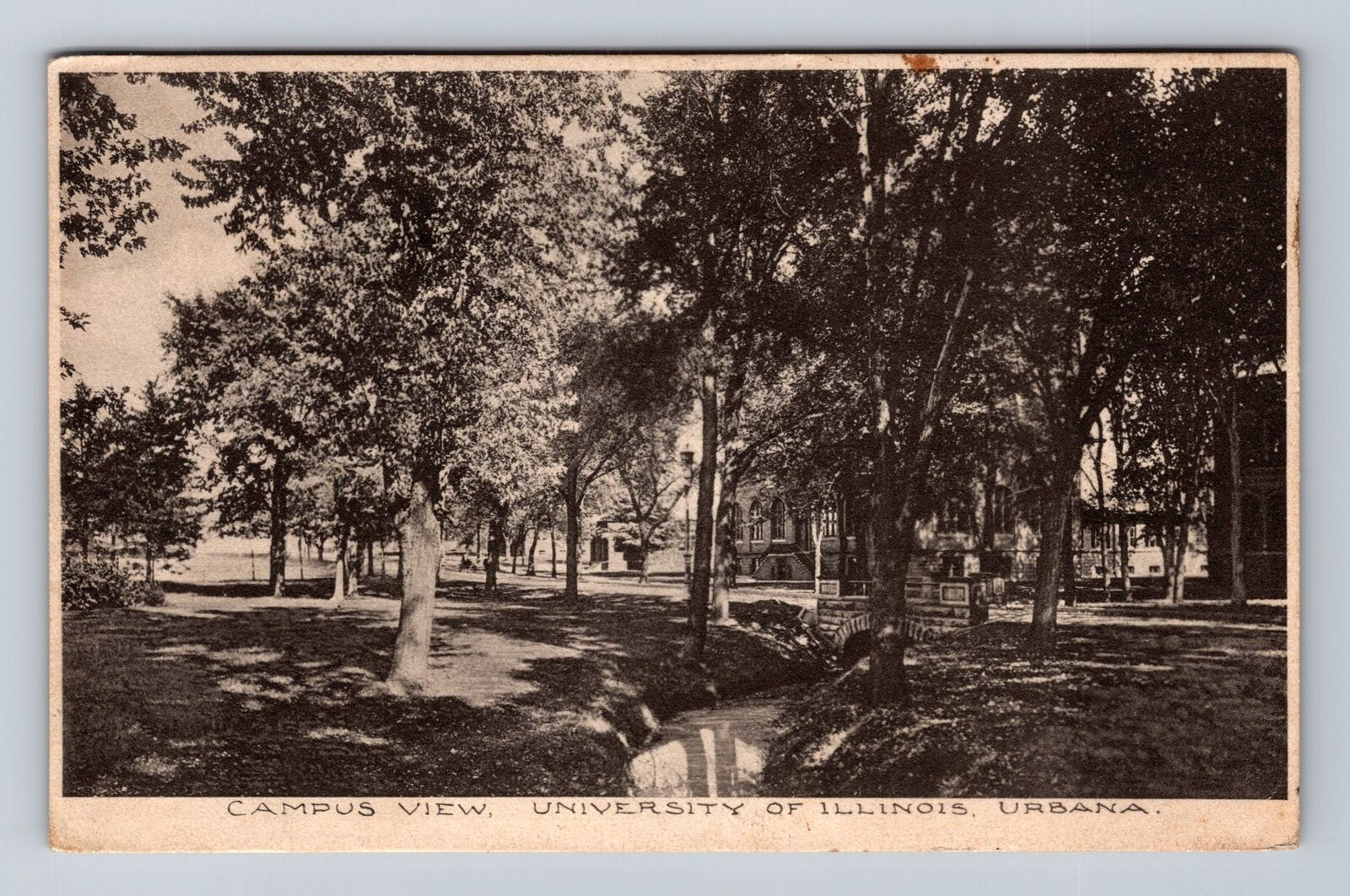 Urbana IL-Illinois, Campus, University, Antique, Vintage c1909 Postcard