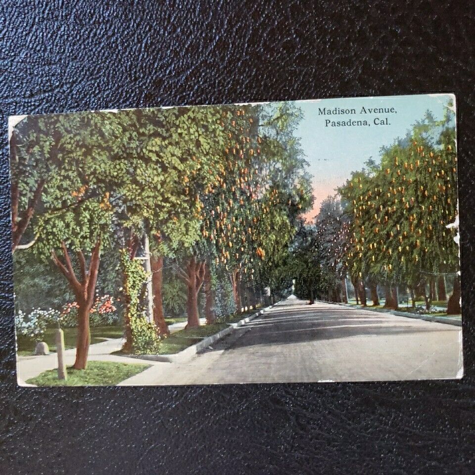 Vintage Postcard 1914 View of Madison Ave. Pasadena California CA POSTED 1914