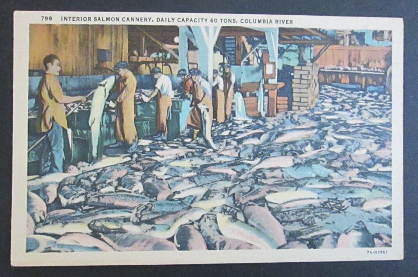Interior Salmon Cannery Columbia River Daily Capacity 60 Tons WA Postcard