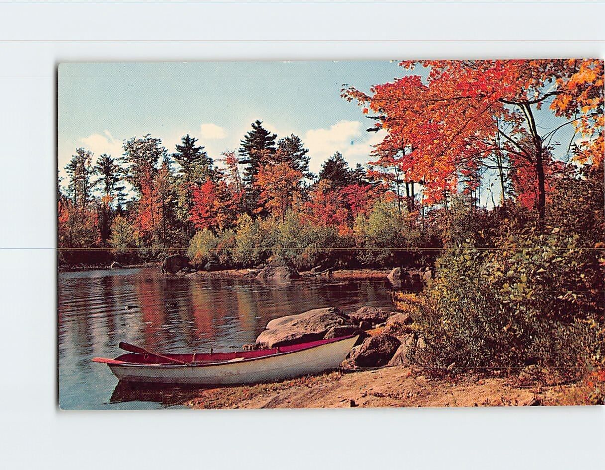 Postcard Beautiful Autumn Lake Scene