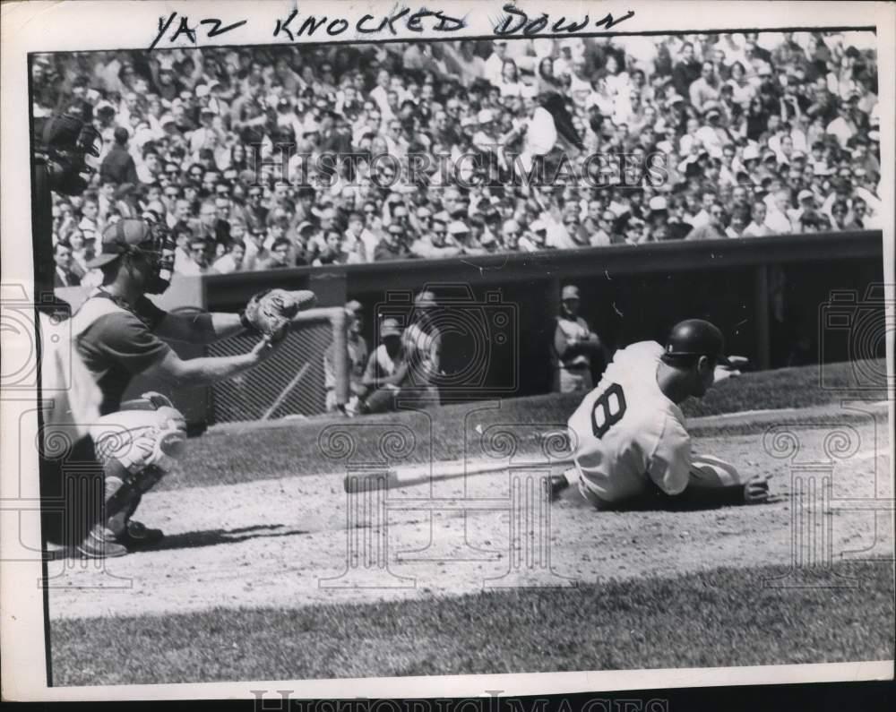 1968 Press Photo Boston Red Soxs\' Carl Yastrzemski, Knocked Down During Game
