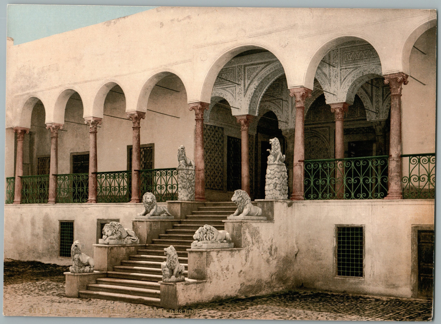 Tunis. Bardo. L\'Escalier des Lions.  Vintage PC photochromie, Tunisia photochr