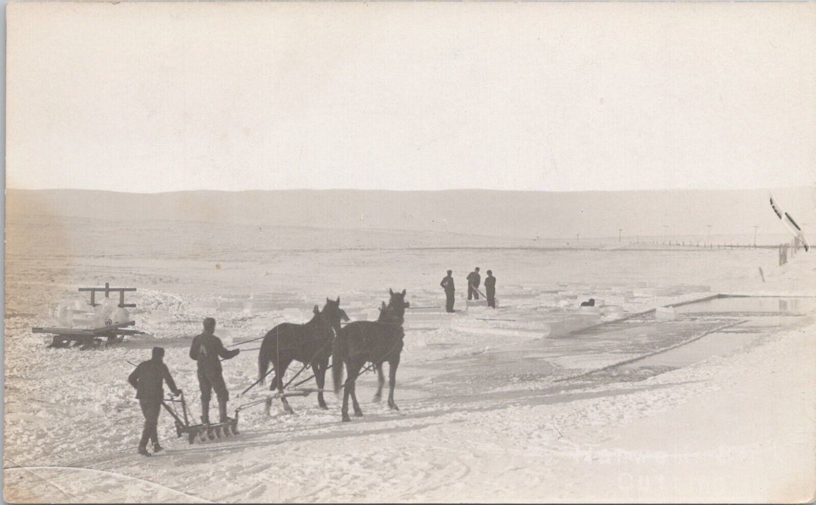 RPPC Canada Ice Harvesting Scene Horse-Drawn Ice Saws early 1900s