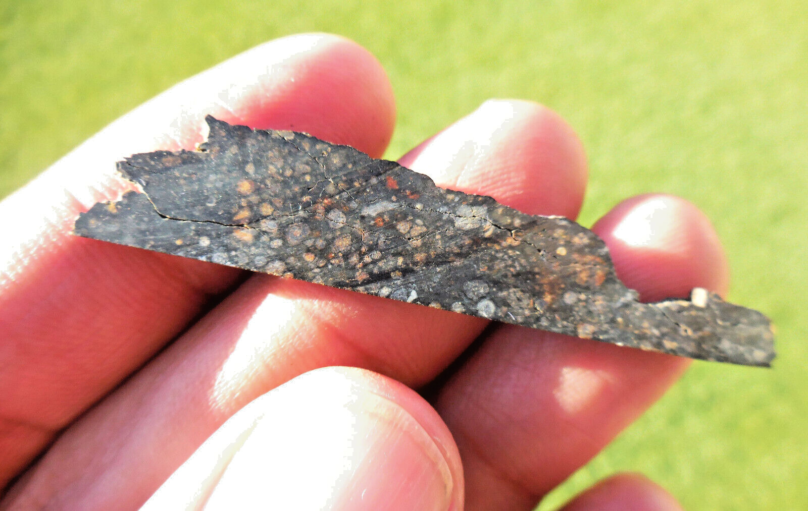 1.90 gram - NWA 12322 (CV3 Carbonaceous) Meteorite Slice - Tons of Chondrules