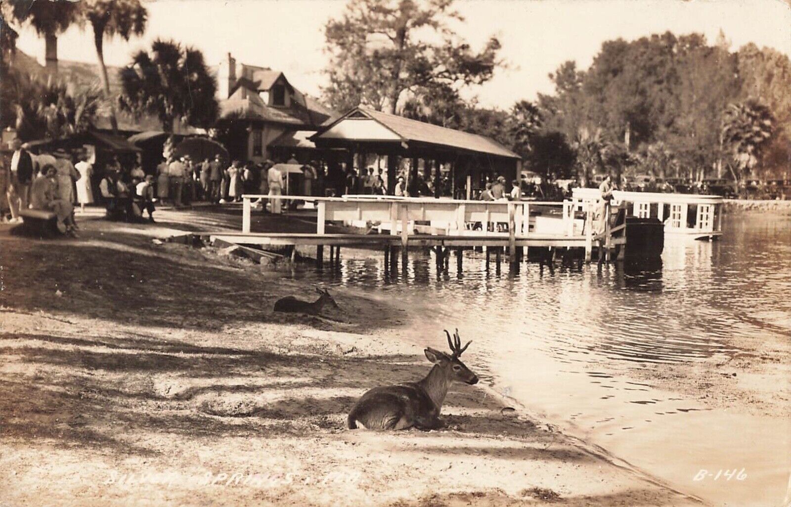 Real Photo Postcard Sliver Springs, Florida Deer Pier PM 1938     A4