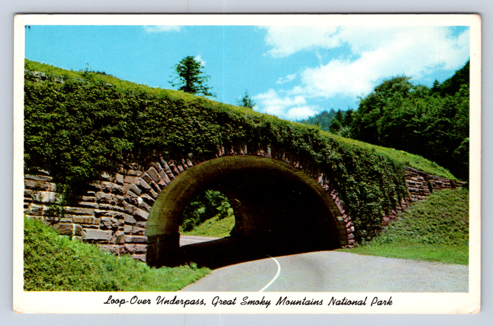 Vintage Postcard Loop Over Underpass Great Smoky Mountains National Park