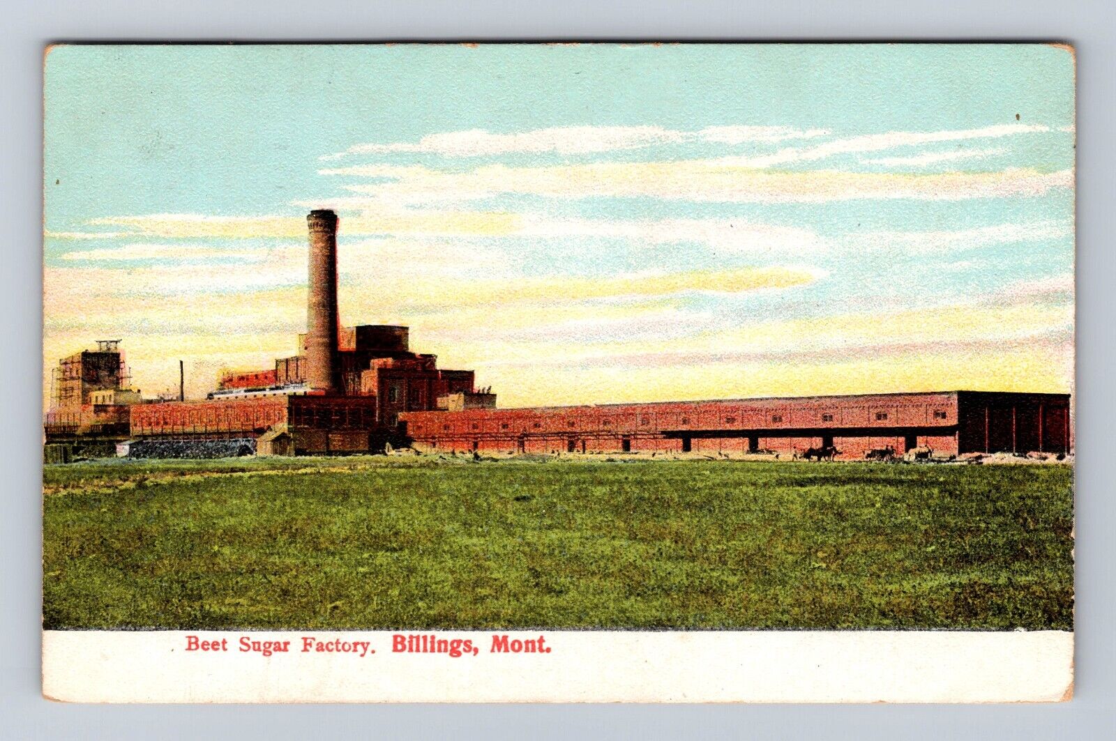 Billings MT-Montana, Beet Sugar Factory, c1907 Antique Vintage Souvenir Postcard