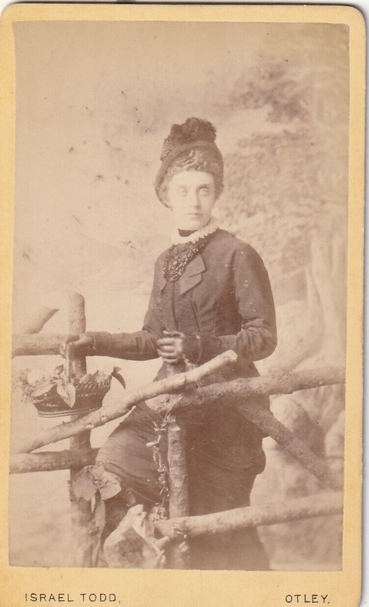 VICT. CDV PHOTO. LADY AT WOODEN FENCE/HAT/FLOWER BASKET/PAINTED BACK.TODD,OTLEY