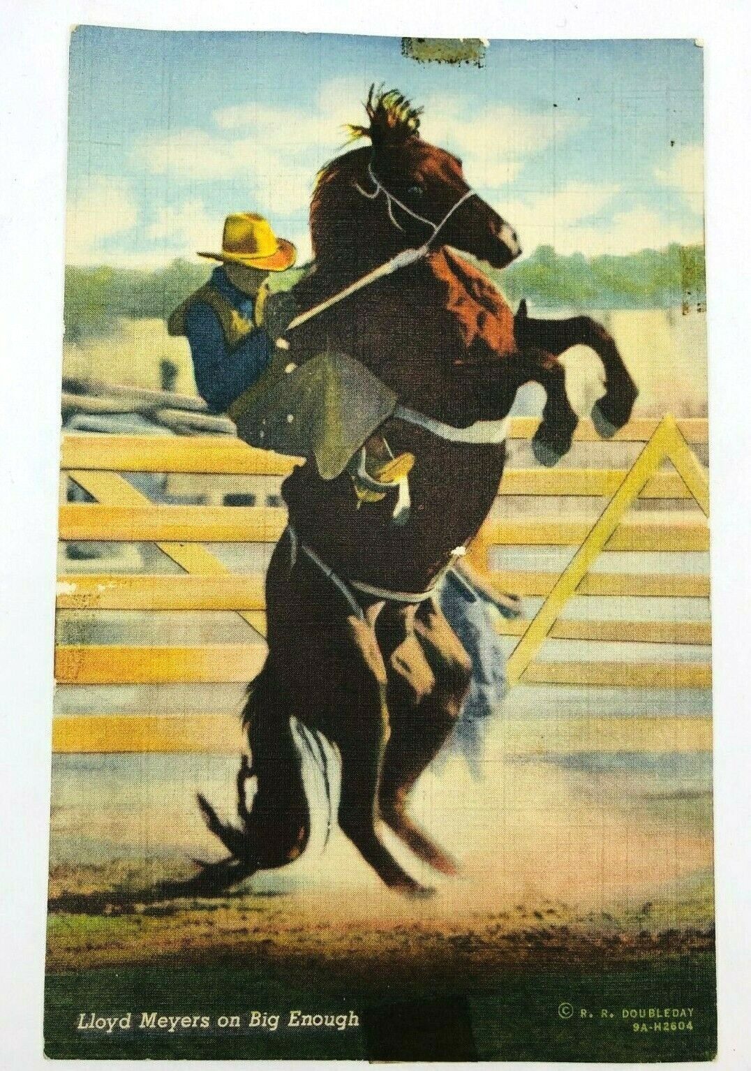 Lloyd Meyers on Big Enough Postcard Western Rodeo Cowboy Curteich Doubleday *A9