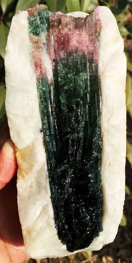 665g Natural Watermelon Color Tourmaline Crystal Rough Stone Specimen ic9800
