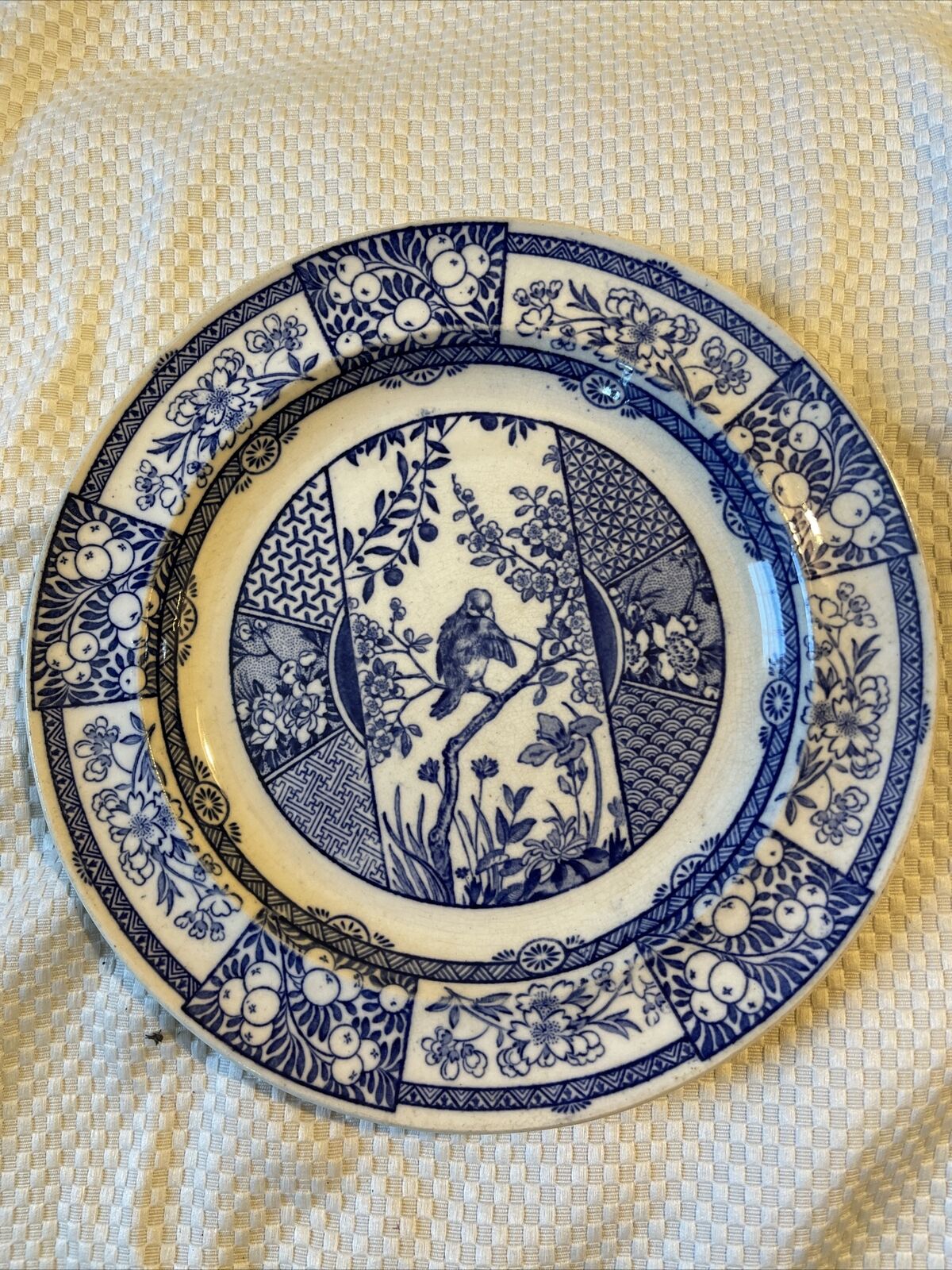 12- 8 1/4” Salad Plates  Rare Antique Wedgwood “Panama” Pattern. 1882-3.