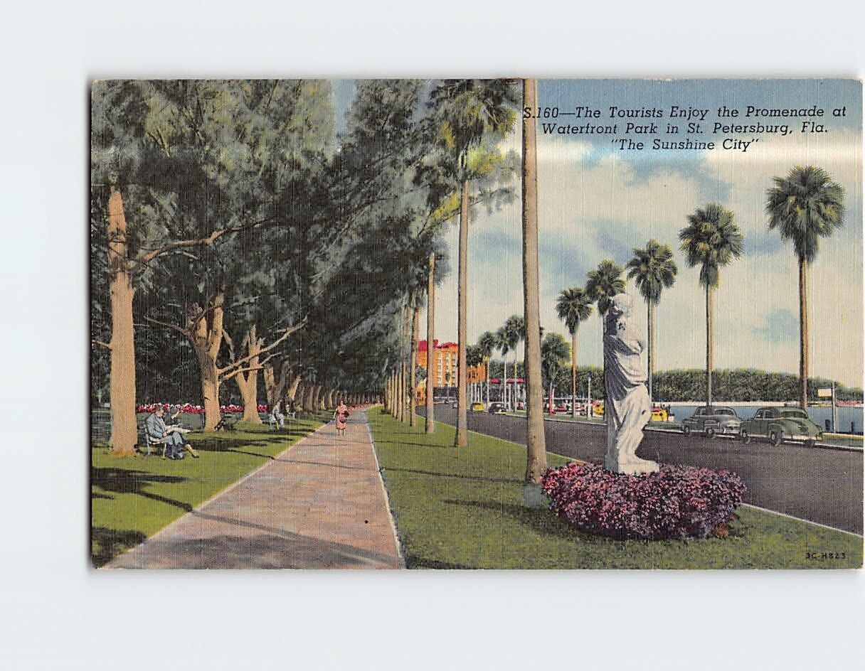 Postcard The Tourists Enjoy the Promenade Waterfront Park St. Petersburg FL USA