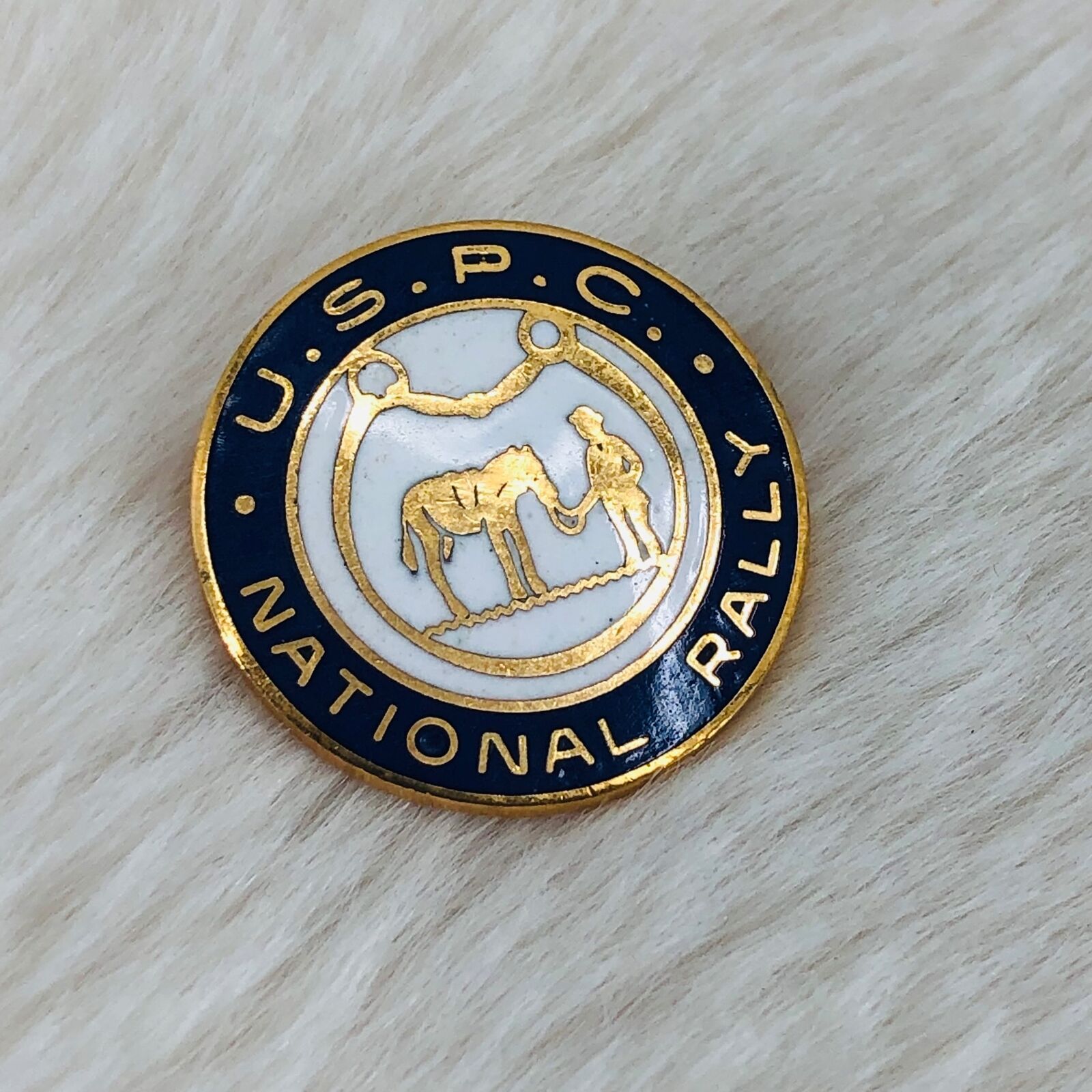 Vtg United States Pony Clubs USPC National Rally Gold Tone Lapel Pin Brooch