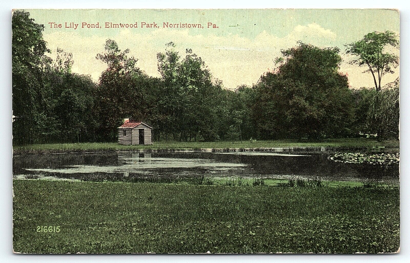 c1910 NORRISTOWN PA ELMWOOD PARK THE LILY POND SCENIC EARLY POSTCARD P4069