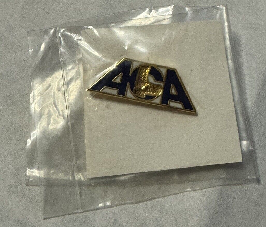 American Correctional Association Pin, Union, Vintage