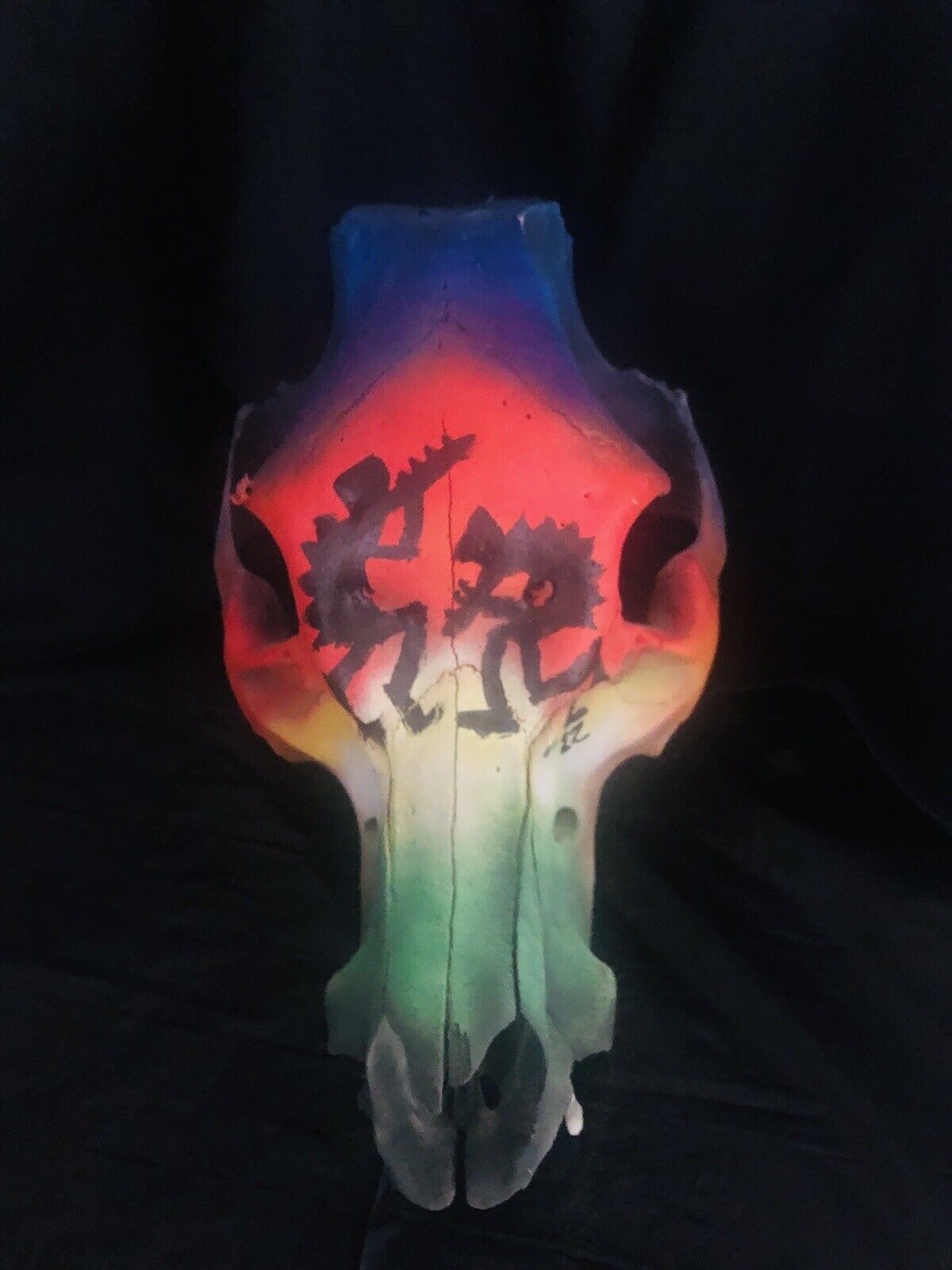 Custom Hand Painted Skull