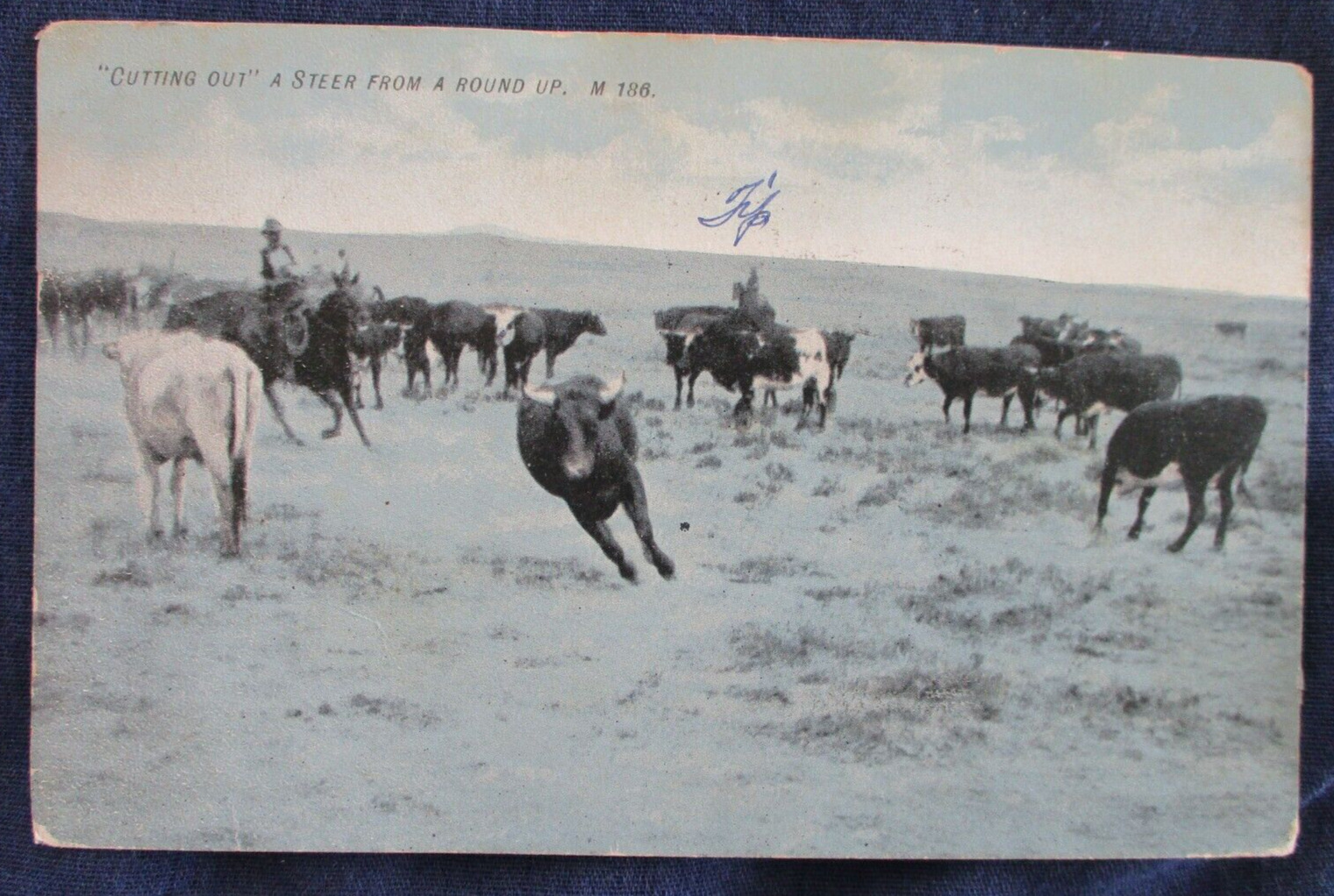 1907 Western Cowboy Roundup \