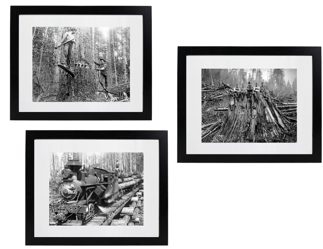 Lot of (3) Historic Matted & Framed Picture Photos Lumberjack Loggers Washington