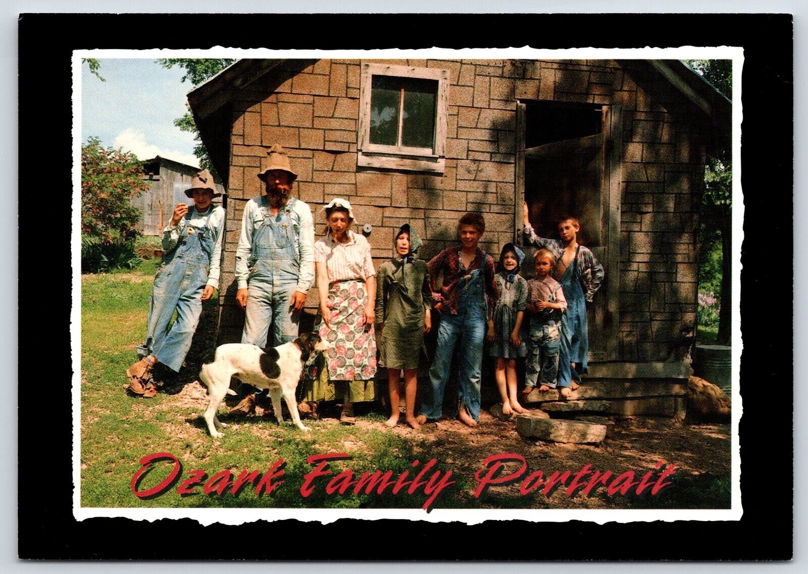 Hillbilly Living Family Portrait Humor Vintage Postcard Continental