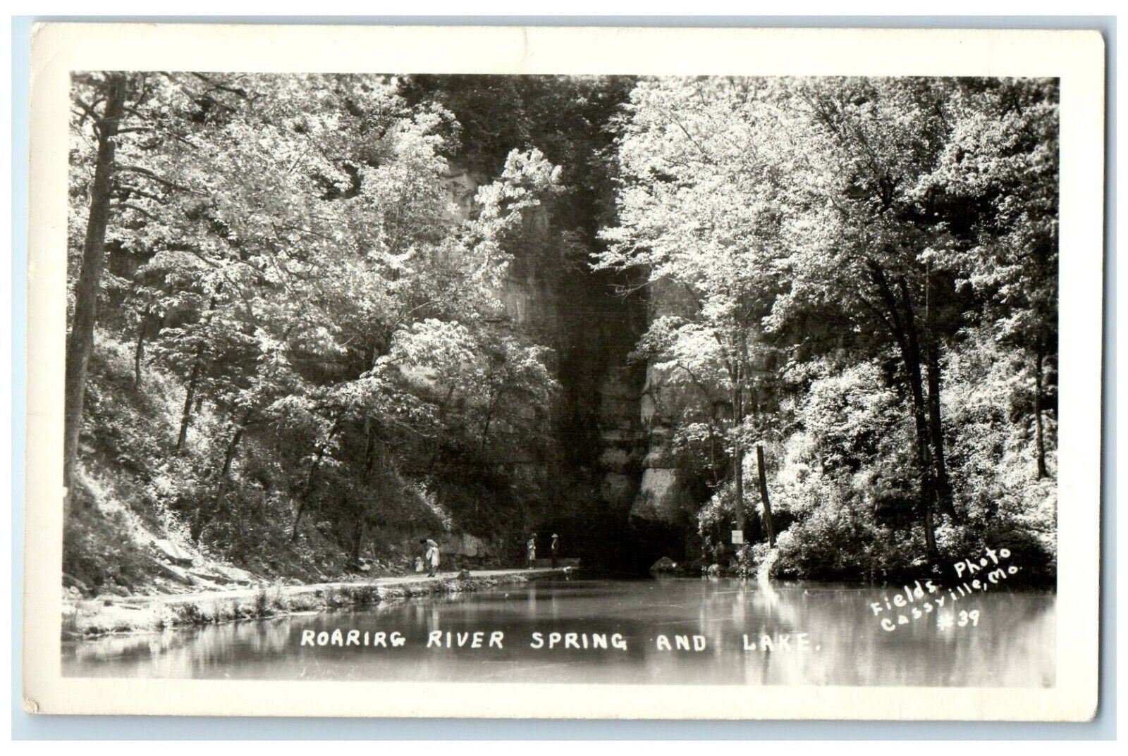 c1940's Roaring River Spring And Lake Cassville Missouri MO RPPC Photo Postcard