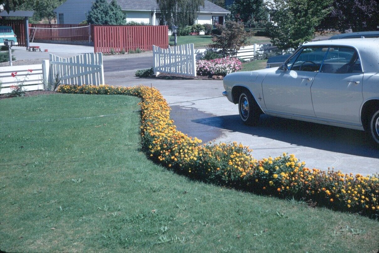 1967 White Chevy Corvair Car Driveway White Picket Fence MCM Vintage 35mm Slide