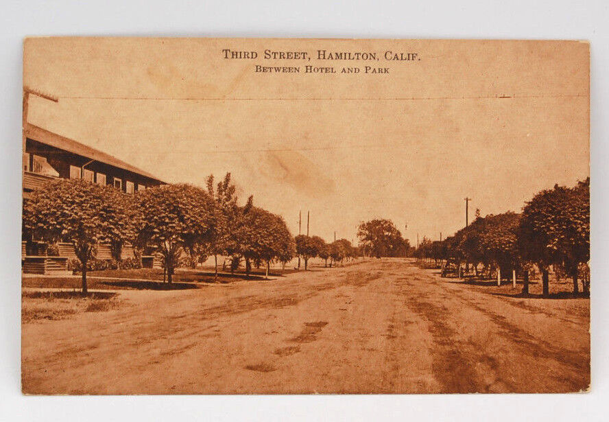Vintage Hamilton, Ca. California Postcard Dirt Street View Buildings Trees A1