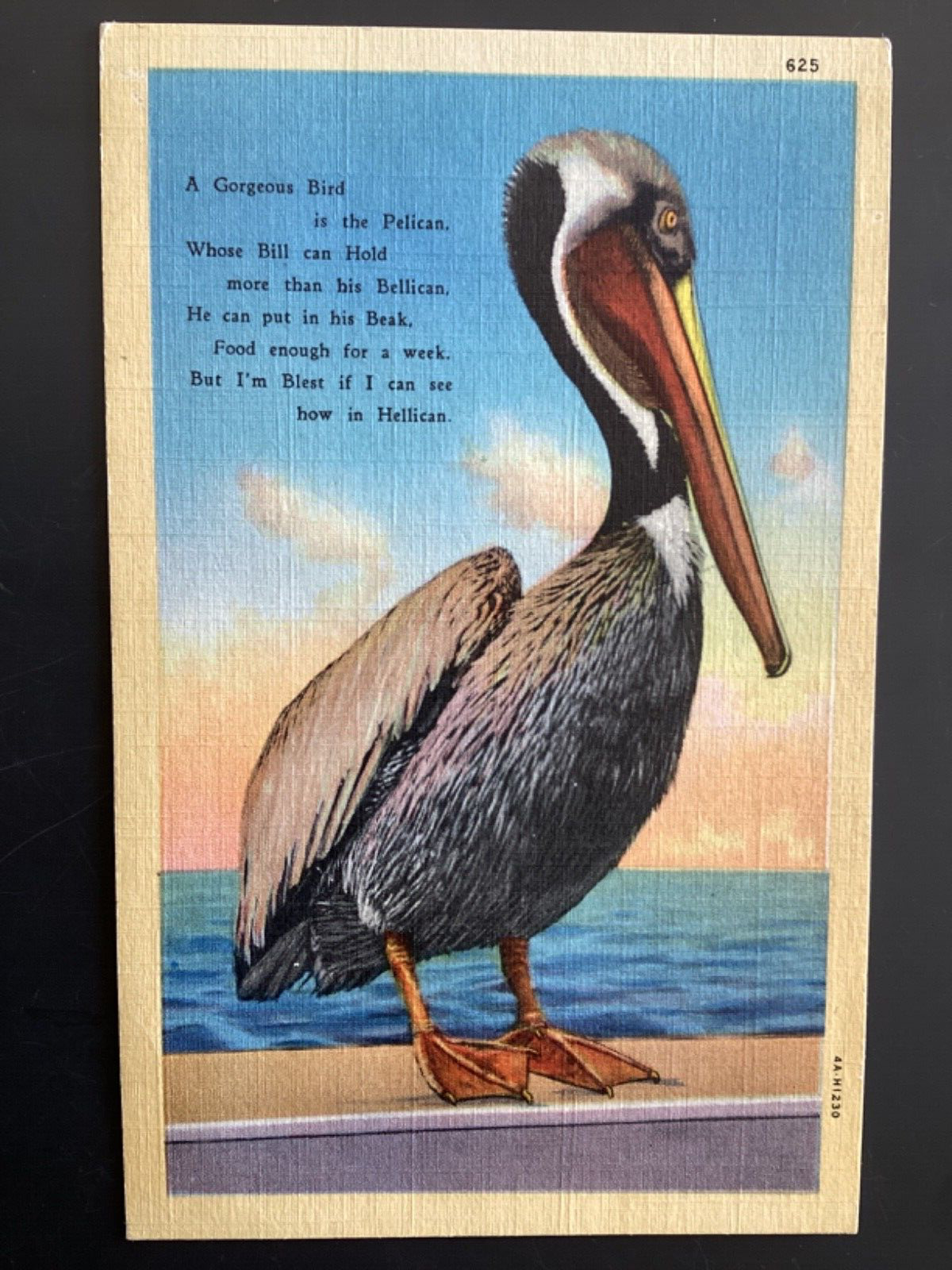 Vintage Unused Pelican Poem Linen postcard by CT Art Colortone Curt Teich B62