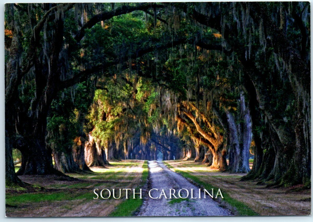 Postcard - South Carolina