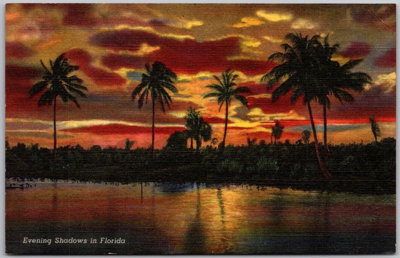 POSTCARD Evening Shadows in Florida 04194