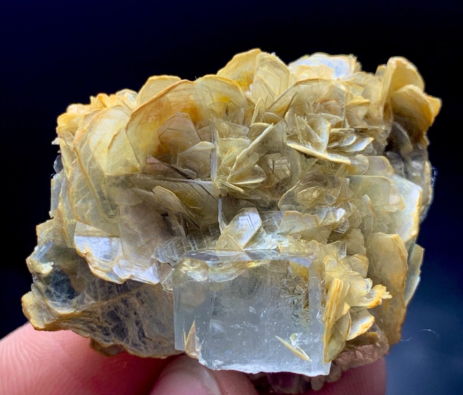 114 Carat aquamarine Crystal Specimen from Pakistan