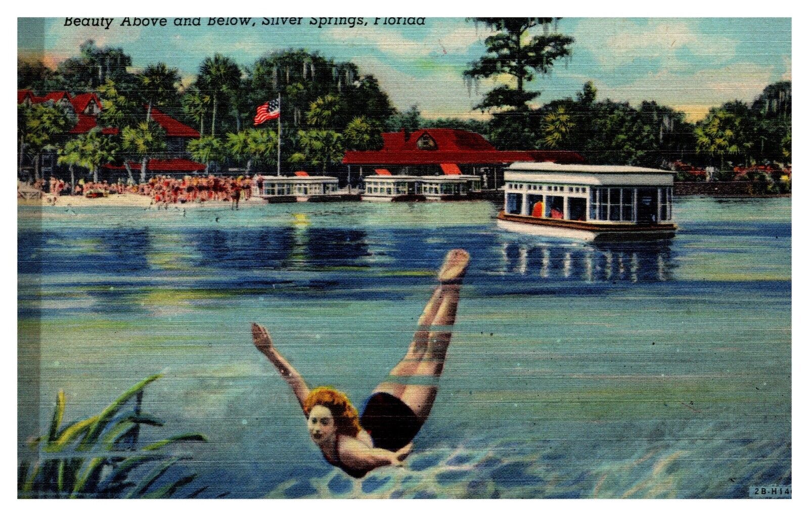 postcard Beauty above & below Silver Springs Florida A0762