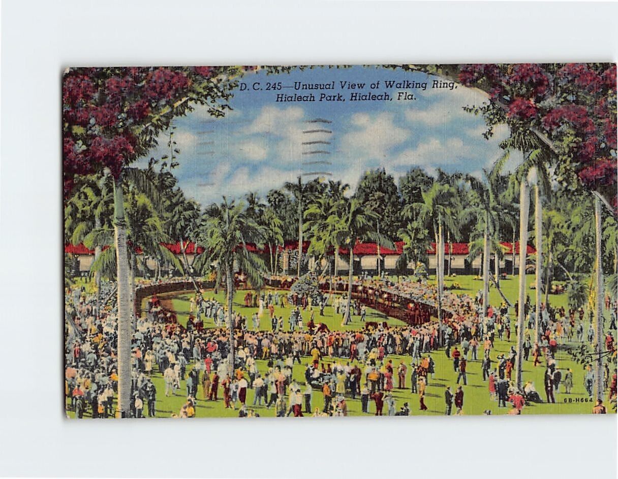 Postcard Unusual View of Walking Ring Hialeah Park Hialeah Florida USA