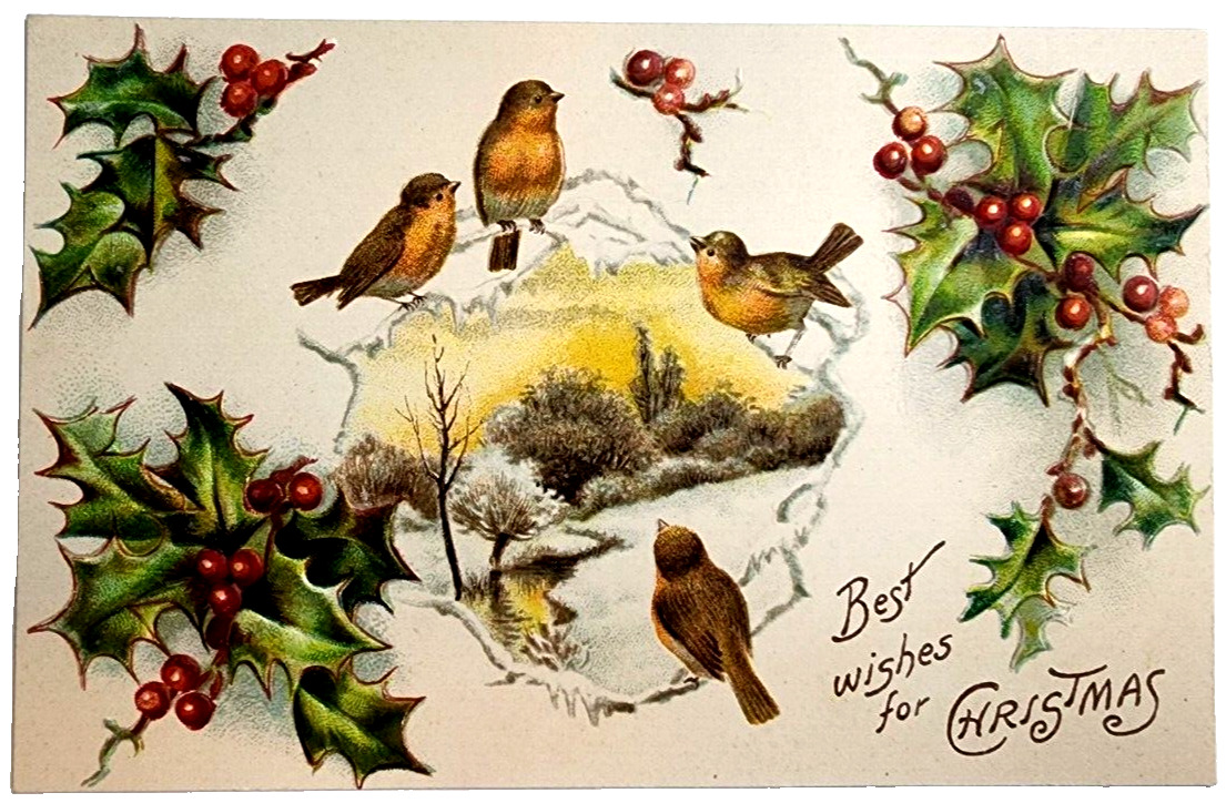 Postcard Best Wishes Christmas Birds Holly Berries Embossed Printed in Germany