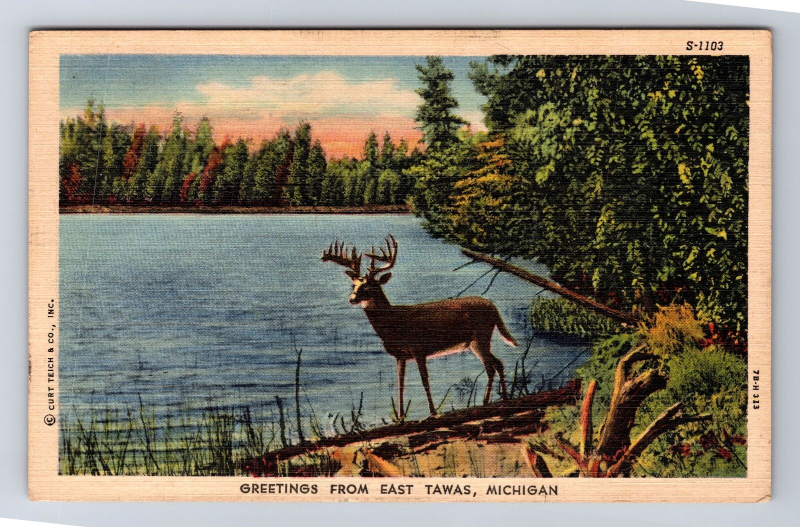 East Tawas MI-Michigan, General Greetings Deer, Antique, Vintage c1958 Postcard