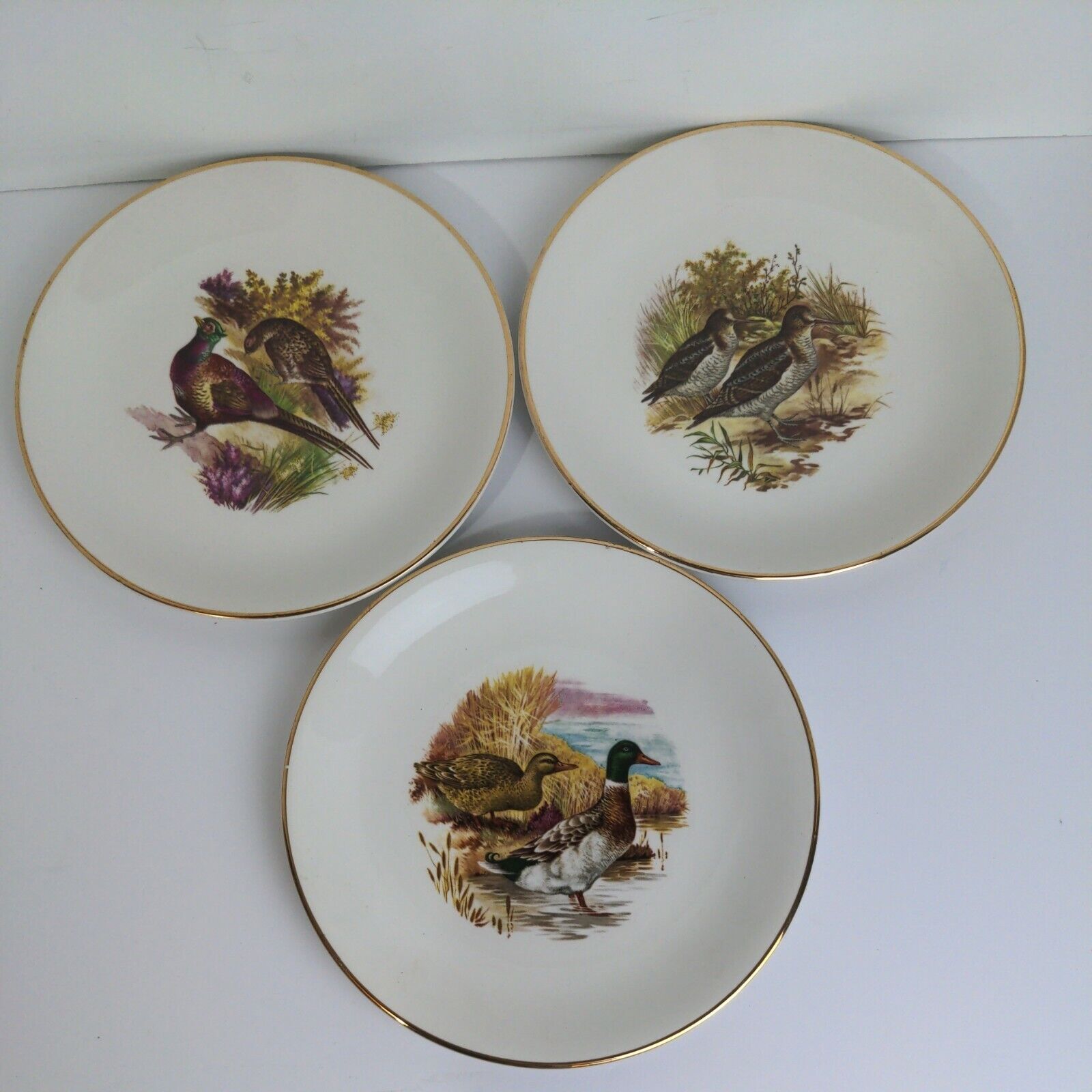 Lot of 6 Royal Falcon Ware Weatherby Hanley England Plates