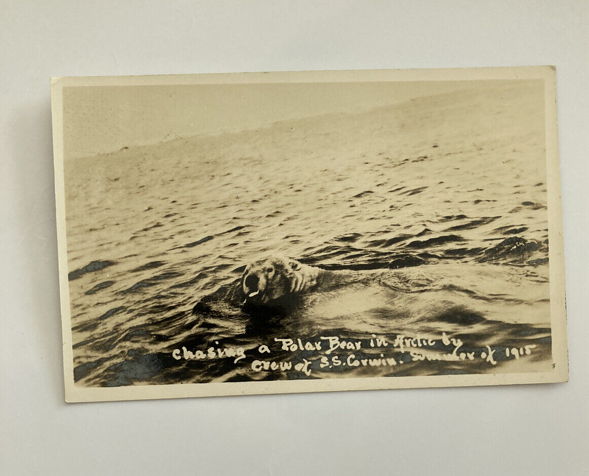 Chasing A Polar Bear In Arctic By Crew S.S. Corwin RPPC Postcard
