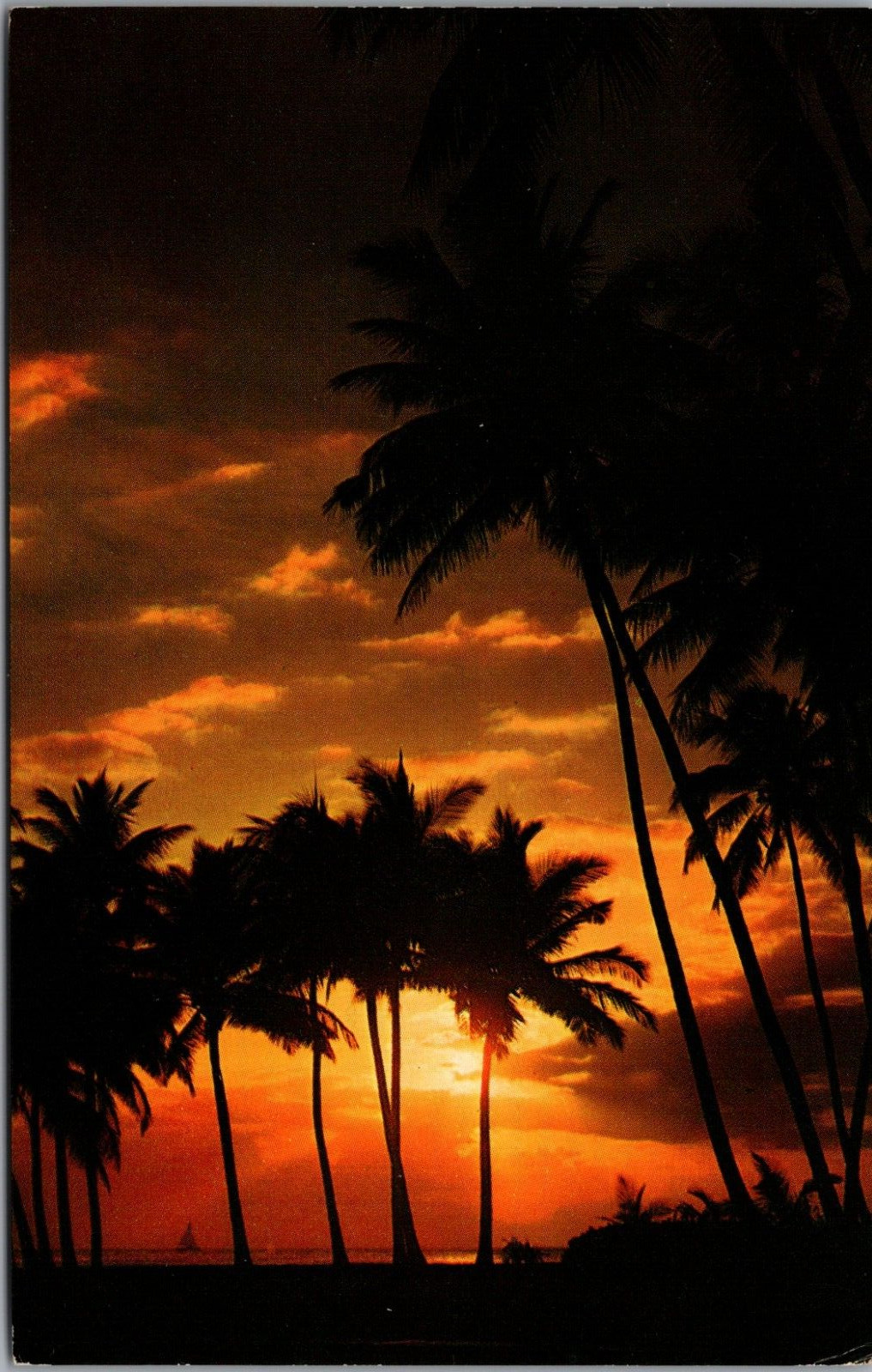 Hawaiian Sunset on the Beach Through Palm Trees Sailboat Chrome Postcard UNP
