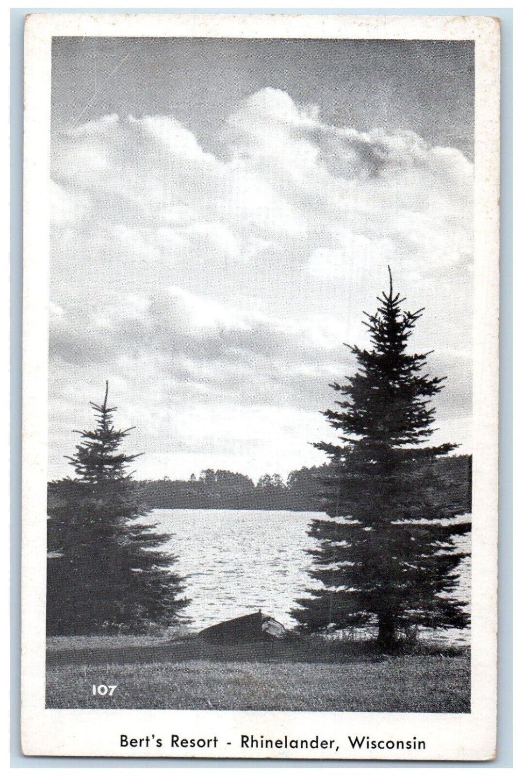 View Of Bert's Resort Pine Trees Lake Scene Rhinelander Wisconsin WI Postcard