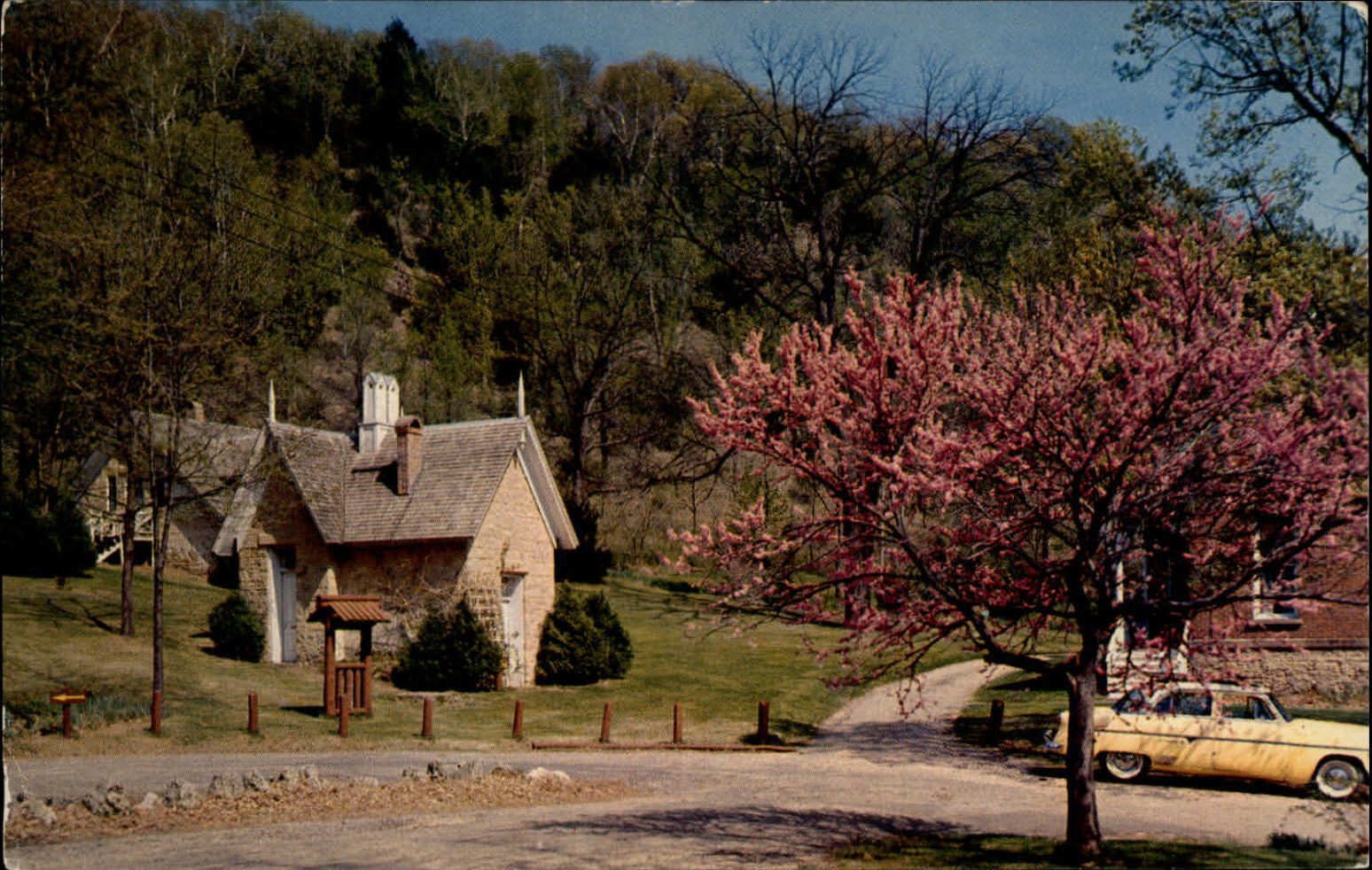 Cassville Wisconsin Stonefield home Nelson Dewey redbud tree ~ postcard sku653