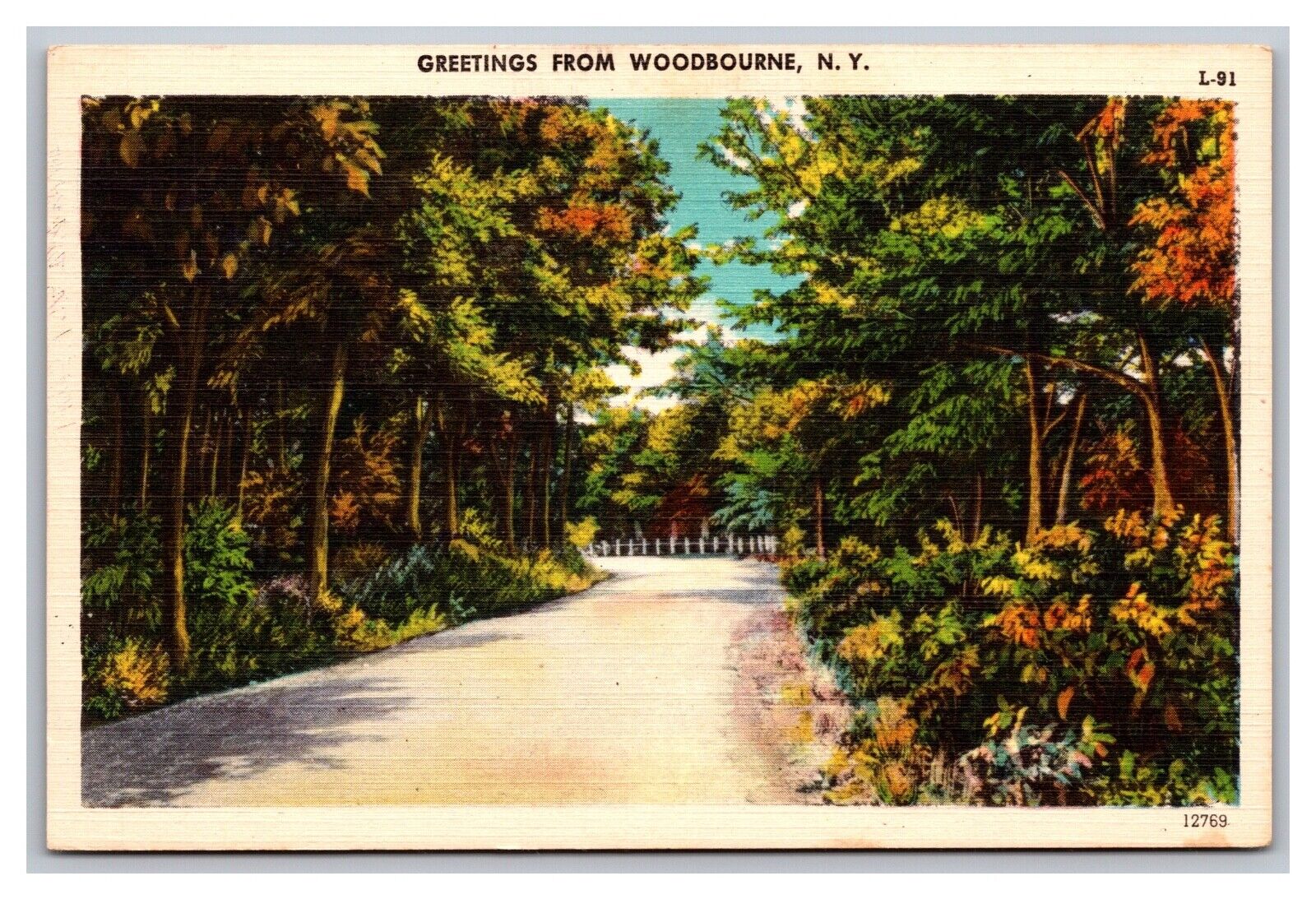 Greetings from Woodbourne NY New York L-91 Scenic Drive Linen Postcard