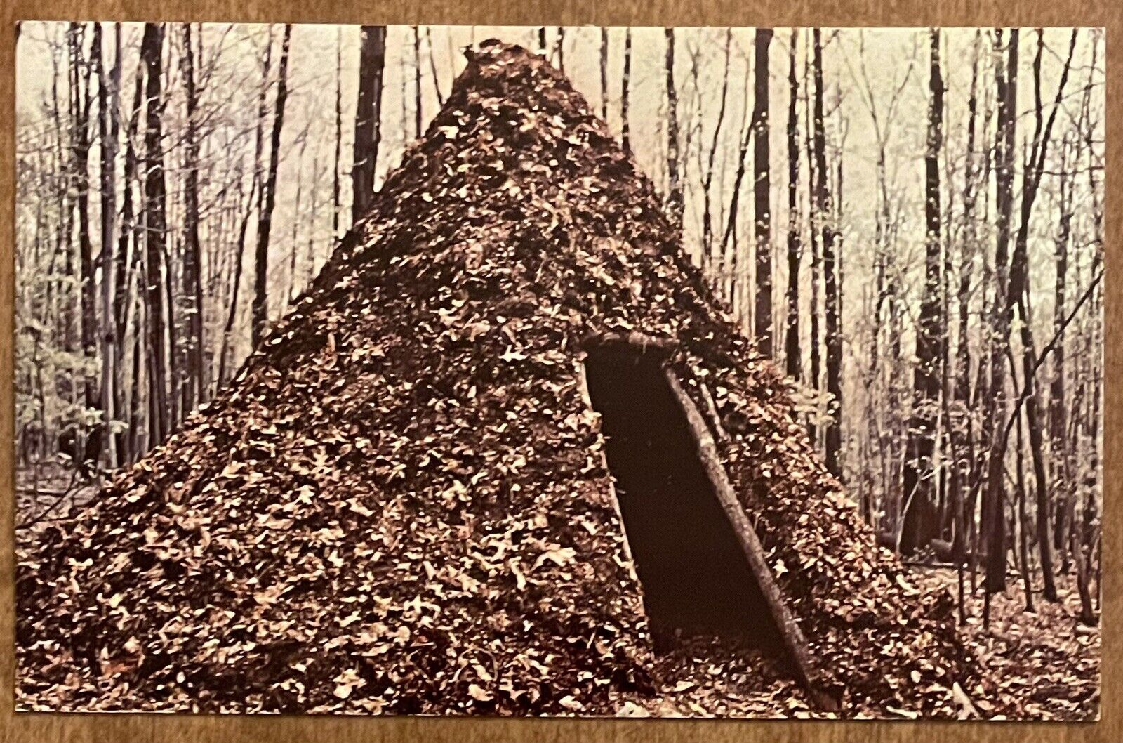 Collier\'s Hut - Catoctin Mountain Park Maryland MD, Vintage Chrome Postcard