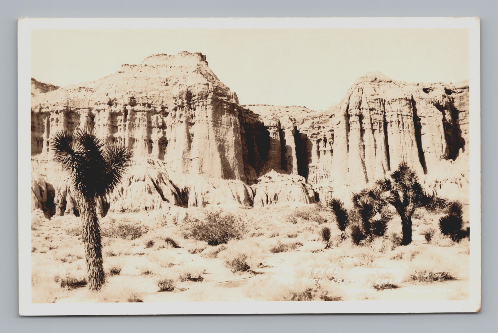 Postcard RPPC The Royal Gateway Red Rock Canyon Joshua Tree Yucca California
